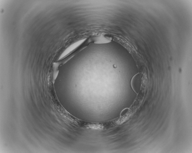 X0000087590659200705112304