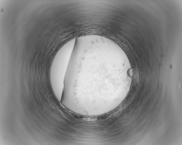 X0000087590660200705112304