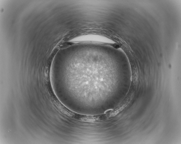 X0000087590661200705112304