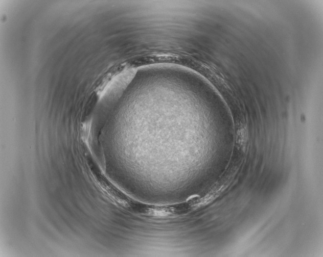 X0000087590662200705112304