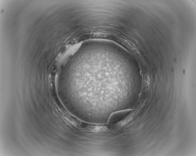 X0000087590663200705112304