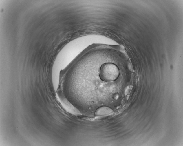 X0000087590664200705112304