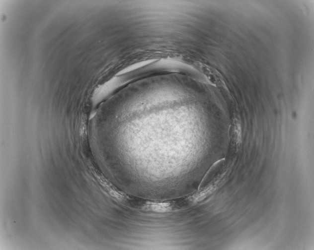 X0000087590665200705112304