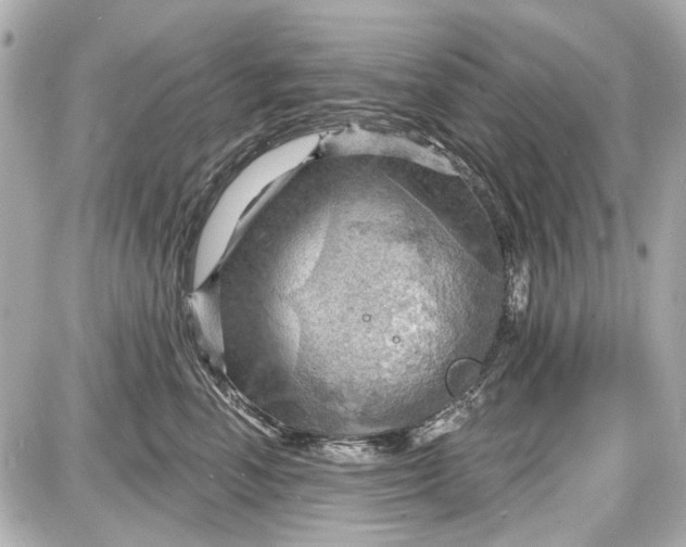 X0000087590666200705112304