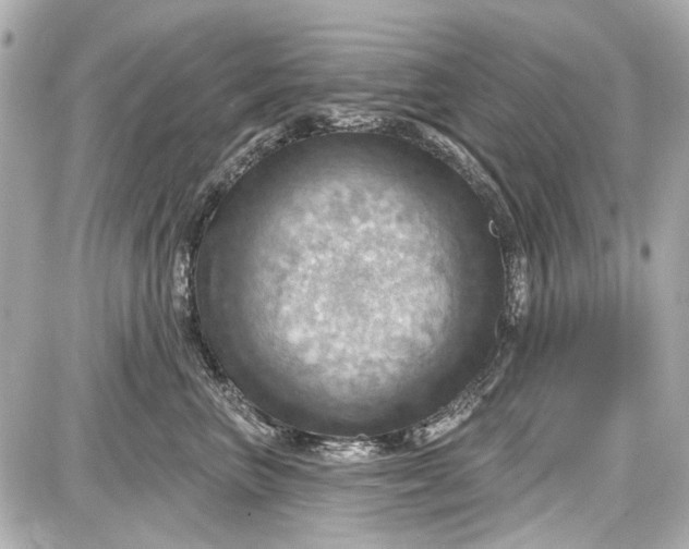 X0000087590667200705112304