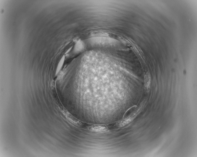 X0000087590669200705112304