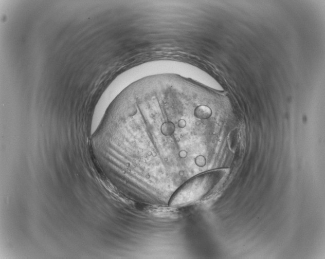 X0000087590670200705112304