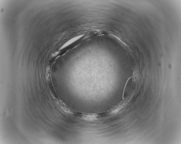 X0000087590671200705112305