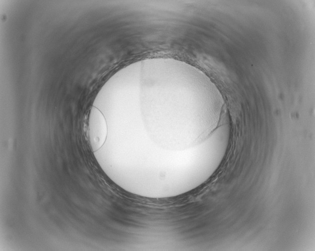 X0000087590672200705112305