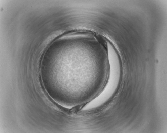 X0000087590673200705112304