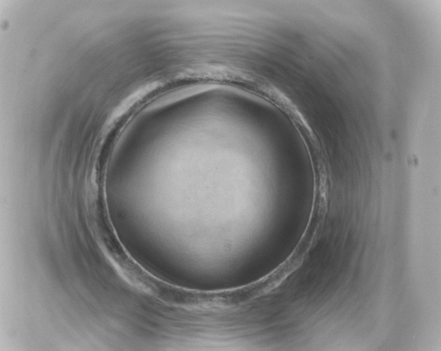 X0000087590674200705112304