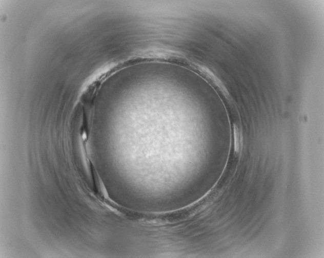 X0000087590675200705112304