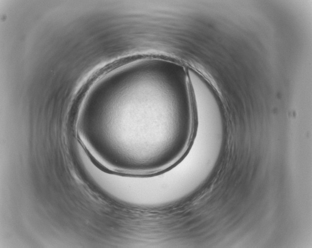 X0000087590676200705112304