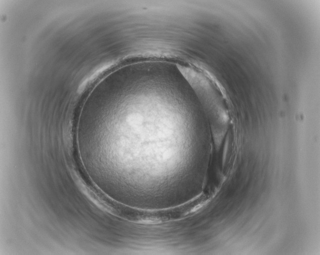 X0000087590677200705112304