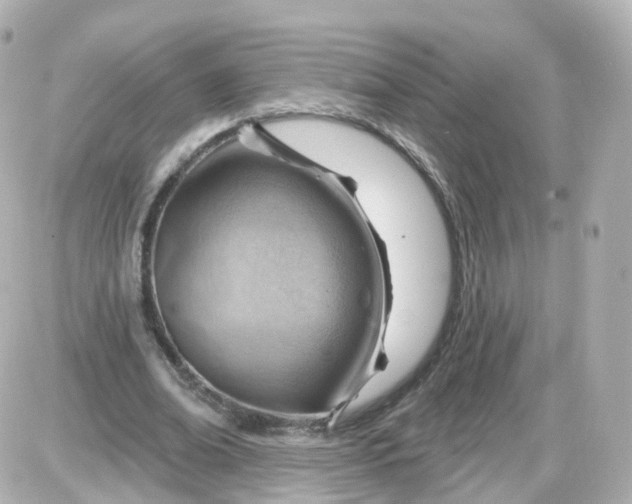 X0000087590678200705112304