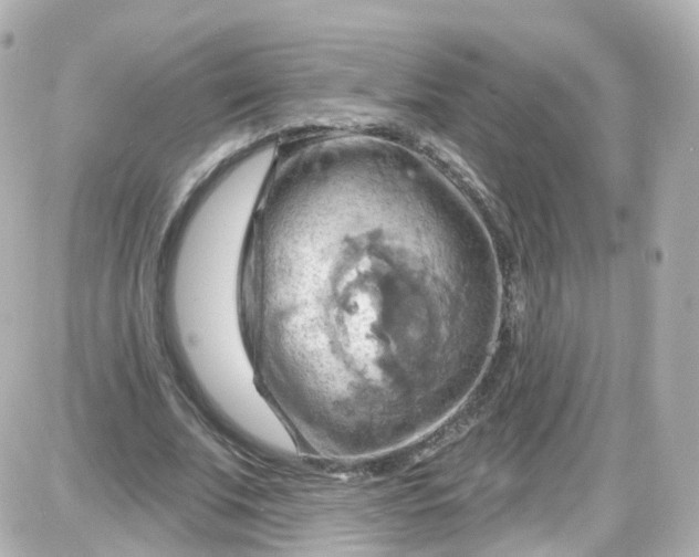 X0000087590679200705112304