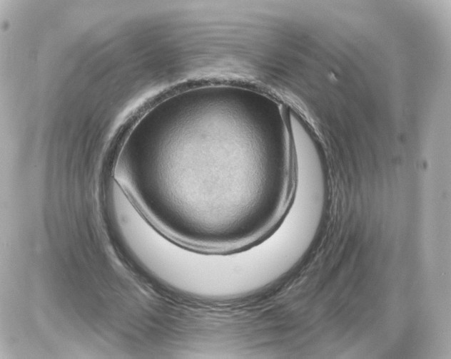 X0000087590680200705112304