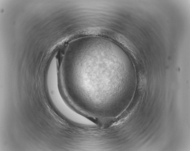 X0000087590681200705112304