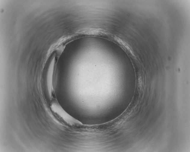 X0000087590682200705112304