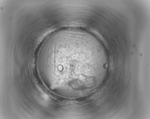 X0000087590683200705112304