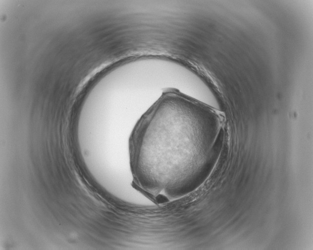 X0000087590684200705112304