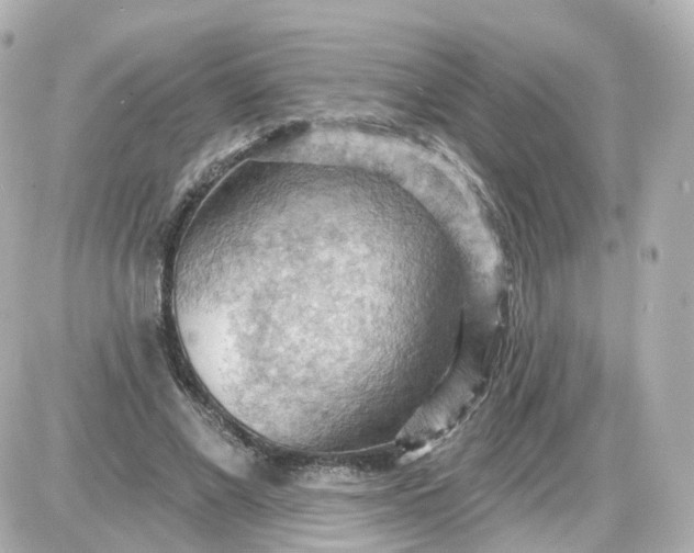 X0000087590685200705112304