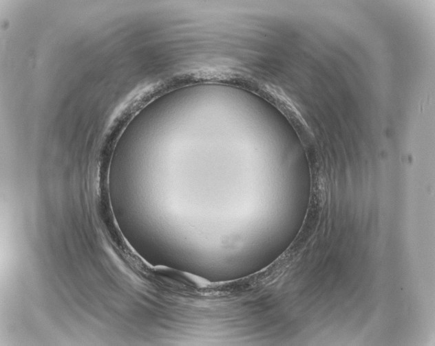 X0000087590686200705112304