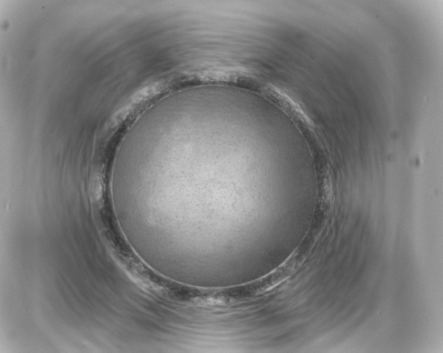 X0000087590687200705112304