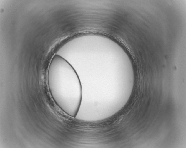 X0000087590688200705112303