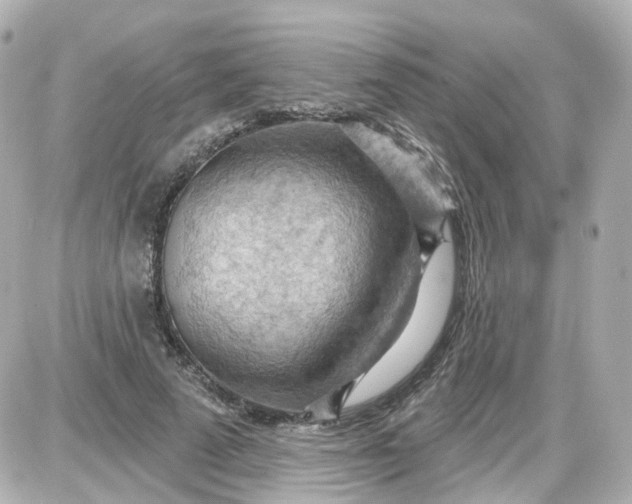 X0000087590689200705112303