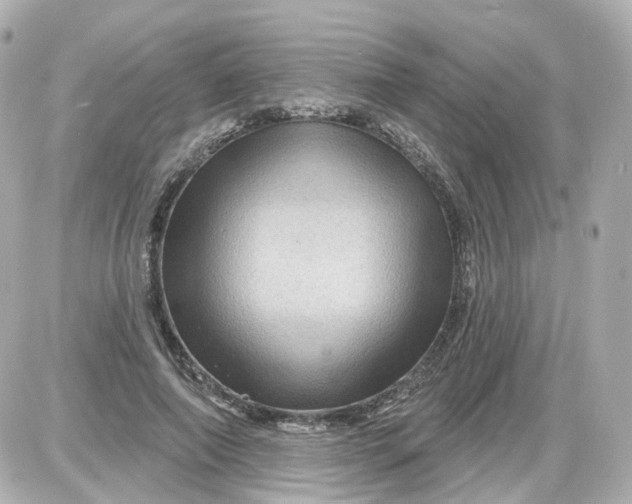 X0000087590690200705112303