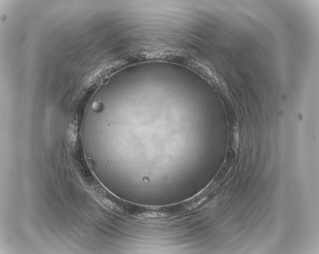 X0000087590691200705112303