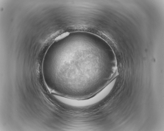 X0000087590692200705112303