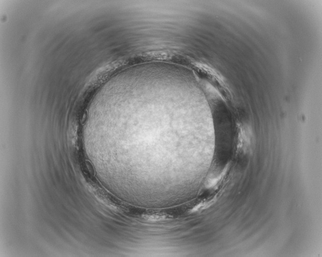 X0000087590693200705112303