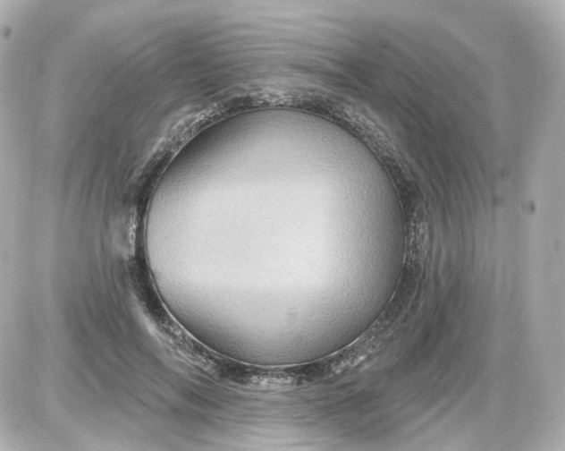 X0000087590694200705112303