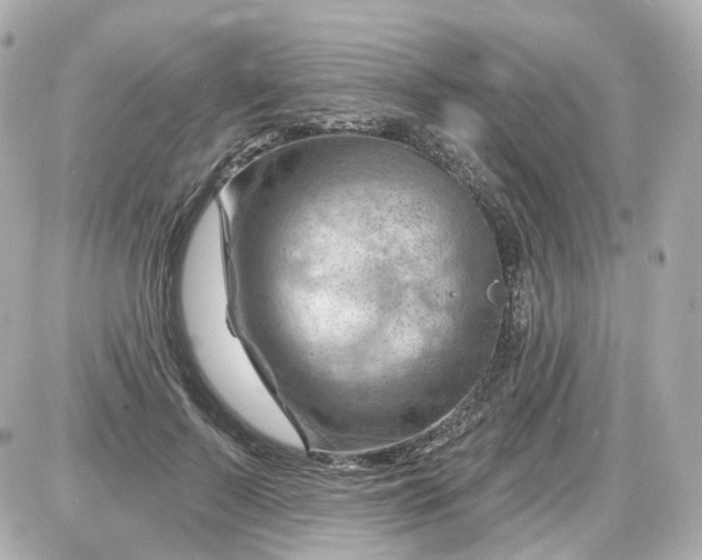 X0000087590695200705112303