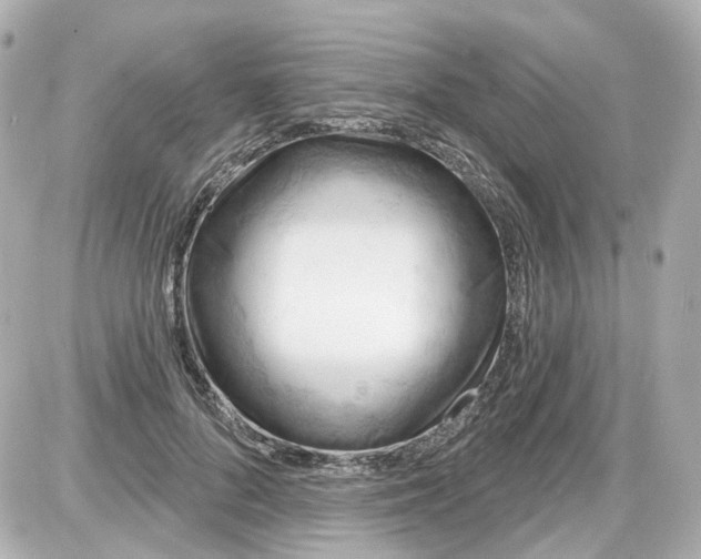 X0000087590696200705112303