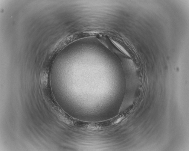 X0000087590697200705112303