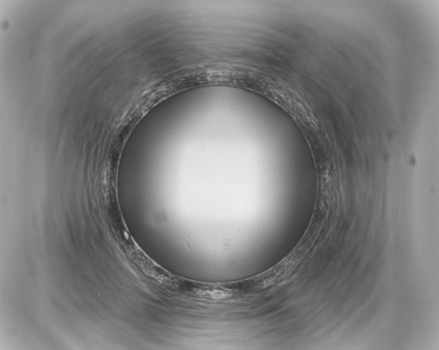 X0000087590698200705112303