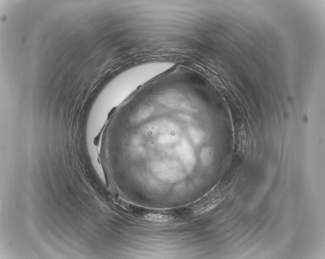 X0000087590699200705112303