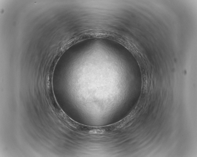 X0000087590700200705112303