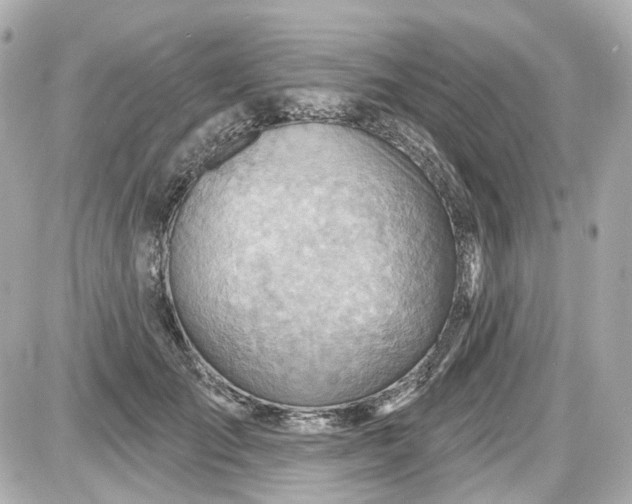 X0000087590701200705112303