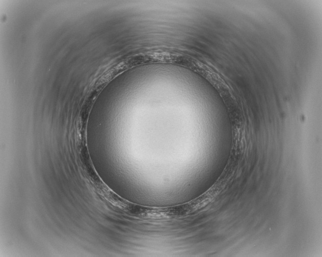 X0000087590702200705112303