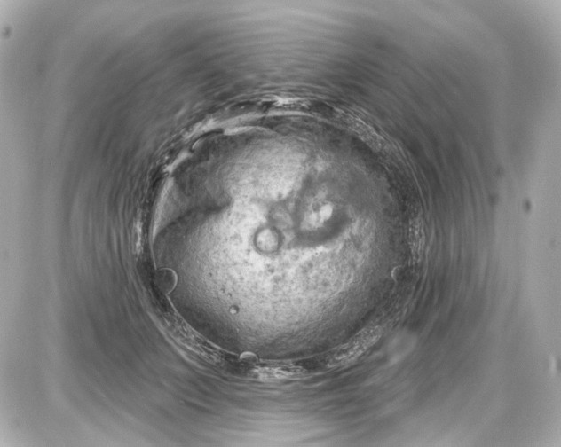 X0000087590703200705112303