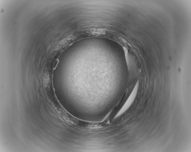 X0000087590704200705112303