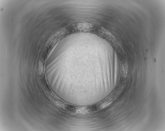 X0000087590705200705112303