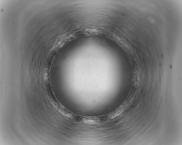 X0000087590706200705112303