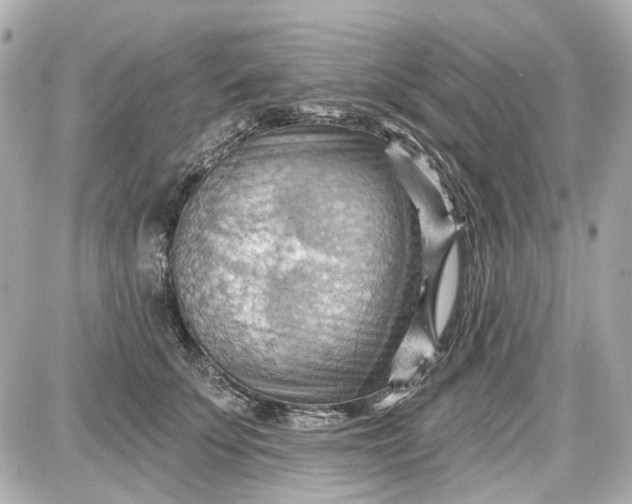 X0000087590707200705112303