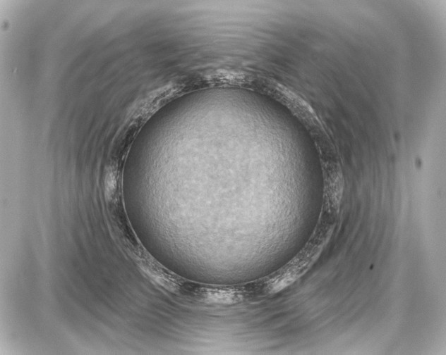 X0000087590709200705112303