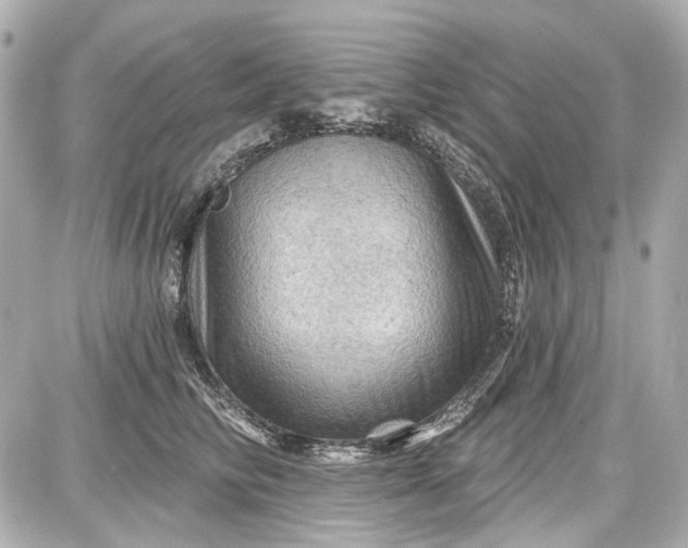 X0000087590710200705112303